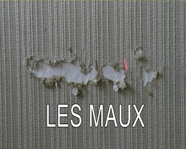 Les_Maux_01_Herve_Bezet.jpg